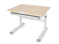 ErgoKids Детский стол ErgoKids Compas Lite MG/G (арт.TH-308 Lite MG/G)