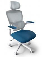 ErgoKids Детское кресло Ergokids Teen Blue c подлокотниками (арт. T-1 ARM/BL)